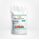 Arranque Plantio 04-14-08 – Fertilizante Mineral para Florescimento e frutificação
