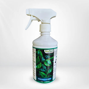 Brilho Verde – Fertilizante Foliar para Folhagens Vibrantes