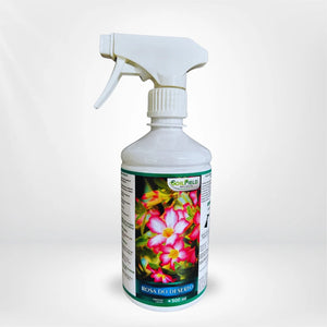 Rosa do Deserto – Fertilizante Especializado para Floração e Resistência