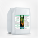 Amino Master – Fertilizante com Boro, Nitrogênio e Zinco para Germinação e Enraizamento (Cópia)