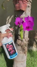 Orquídeas – Fertilizante Mineral Completo para Floração e Enraizamento