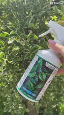 Brilho Verde – Fertilizante Foliar para Folhagens Vibrantes